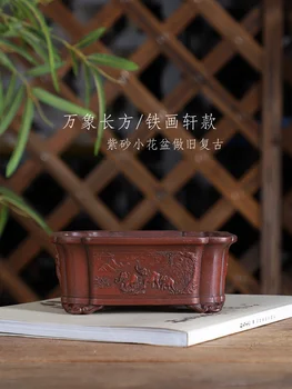 Fialová Piesku Obdĺžnik Slon Vyrezávané Bonsai Hrniec Tradíciu Čína Vyrezávané Succulents Záhradné Dekorácie